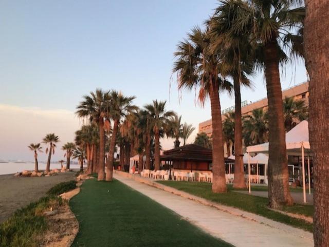 Medusa Gardens 206 -beach Front- Appartement